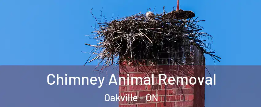 Chimney Animal Removal Oakville - ON