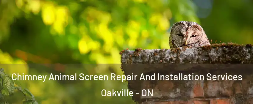  Chimney Animal Screen Repair And Installation Services Oakville - ON