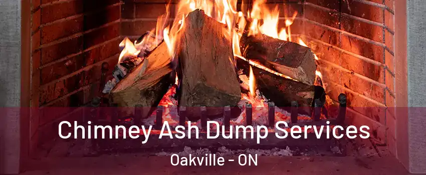  Chimney Ash Dump Services Oakville - ON