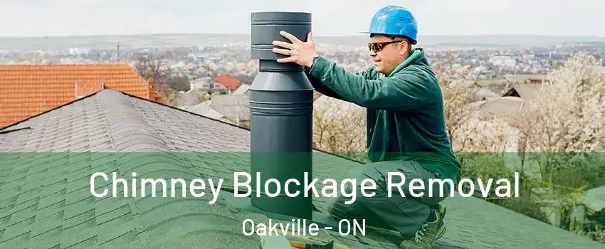  Chimney Blockage Removal Oakville - ON