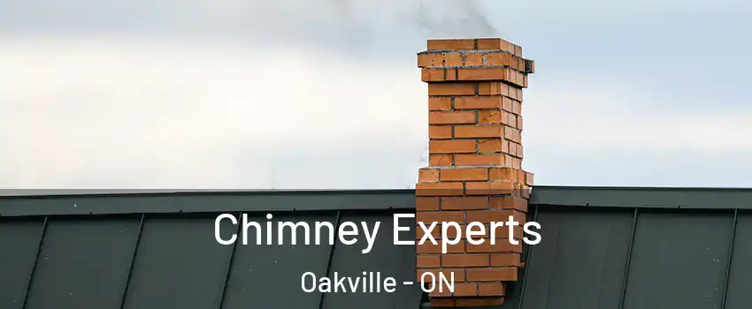 Chimney Experts Oakville - ON