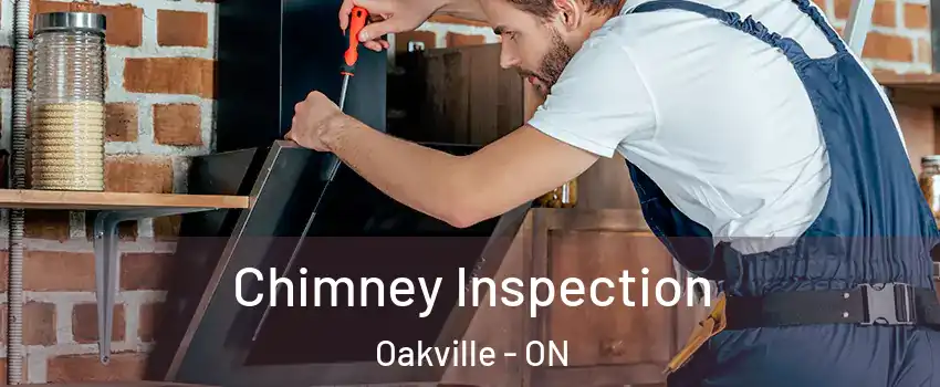  Chimney Inspection Oakville - ON