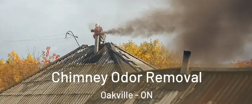  Chimney Odor Removal Oakville - ON