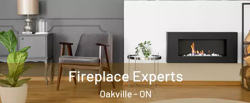  Fireplace Experts Oakville - ON