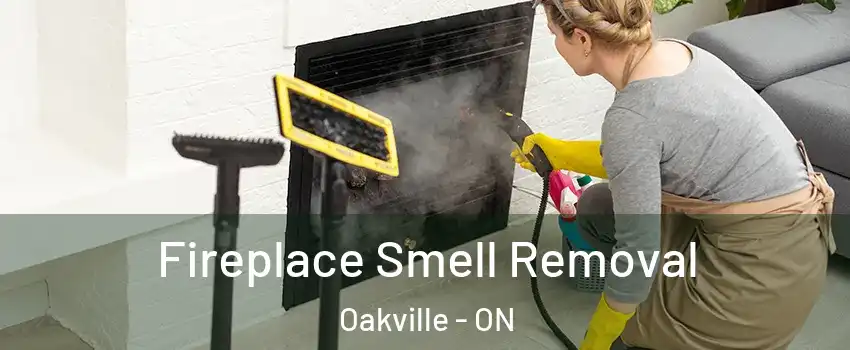  Fireplace Smell Removal Oakville - ON