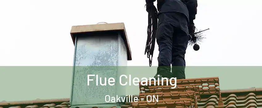  Flue Cleaning Oakville - ON