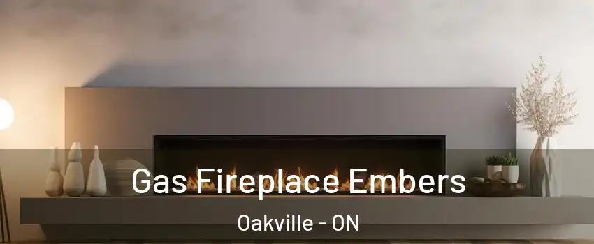  Gas Fireplace Embers Oakville - ON