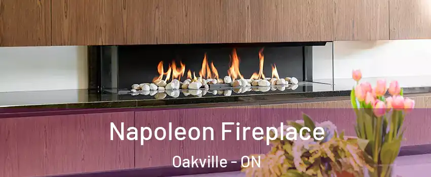  Napoleon Fireplace Oakville - ON